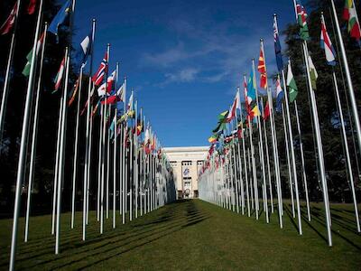 Expertos de la ONU instan a que se imponga una responsabilidad vinculante a las empresas agrícolas para salvaguardar los derechos campesinos y la s...