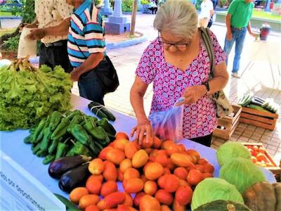 Falta de políticas de apoyo a pequeños productores profundiza la dependencia alimentaria