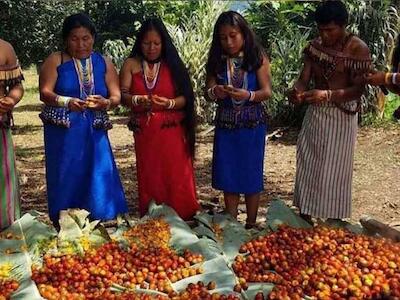 Fiesta de la Chonta, ritual de gratitud con la Pachamama