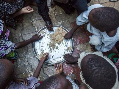 Fome global: ações para minimizar o impacto