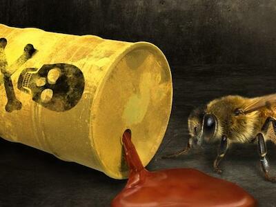 Forestal Arauco, un vecino muy tóxico para seres humanos y abejas