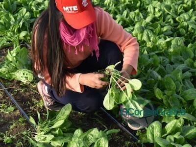 “Fortalecer la agricultura familiar, campesina e indígena es central para una nueva Argentina”