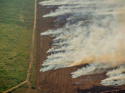 Incêndio em plantação de soja no Mato Grosso (Foto: Christian Braga/Greenpeace)