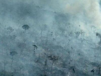 Greenpeace: los satélites confirman que la deforestación en la Amazonia sigue fuera de control