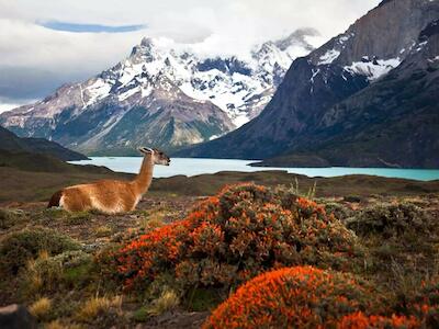 Gremios empresariales intentan desmantelar la Ley SBAP contradiciendo los avances de los últimos gobiernos 