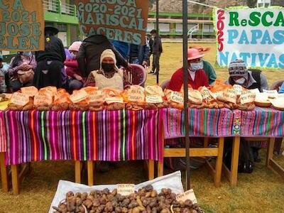 Huancavelica: reconocen a más de 182 familias agricultoras por conservar cultivos nativos