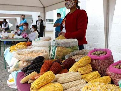 Imbabura fortalece la agricultura campesina