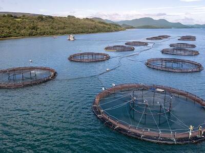 Impunidad corporativa: Cómo el poder económico vacía de contenido la protección ambiental en Chile