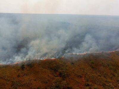 La zona con fuego activo en el Parque Noel Kempff Mercado, en el departamento de Santa Cruz, Bolivia. Foto: cortesía Viceministerio de Defensa Civil. 