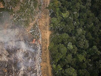 Titula Brasil foi apelidado de "Invade Brasil" pelos críticos, que veem favorecimento a grileiros - Daniel Beltra / Greenpeace