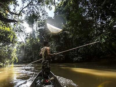 Indígenas del bosque amazónico presentan demanda al Gobierno peruano