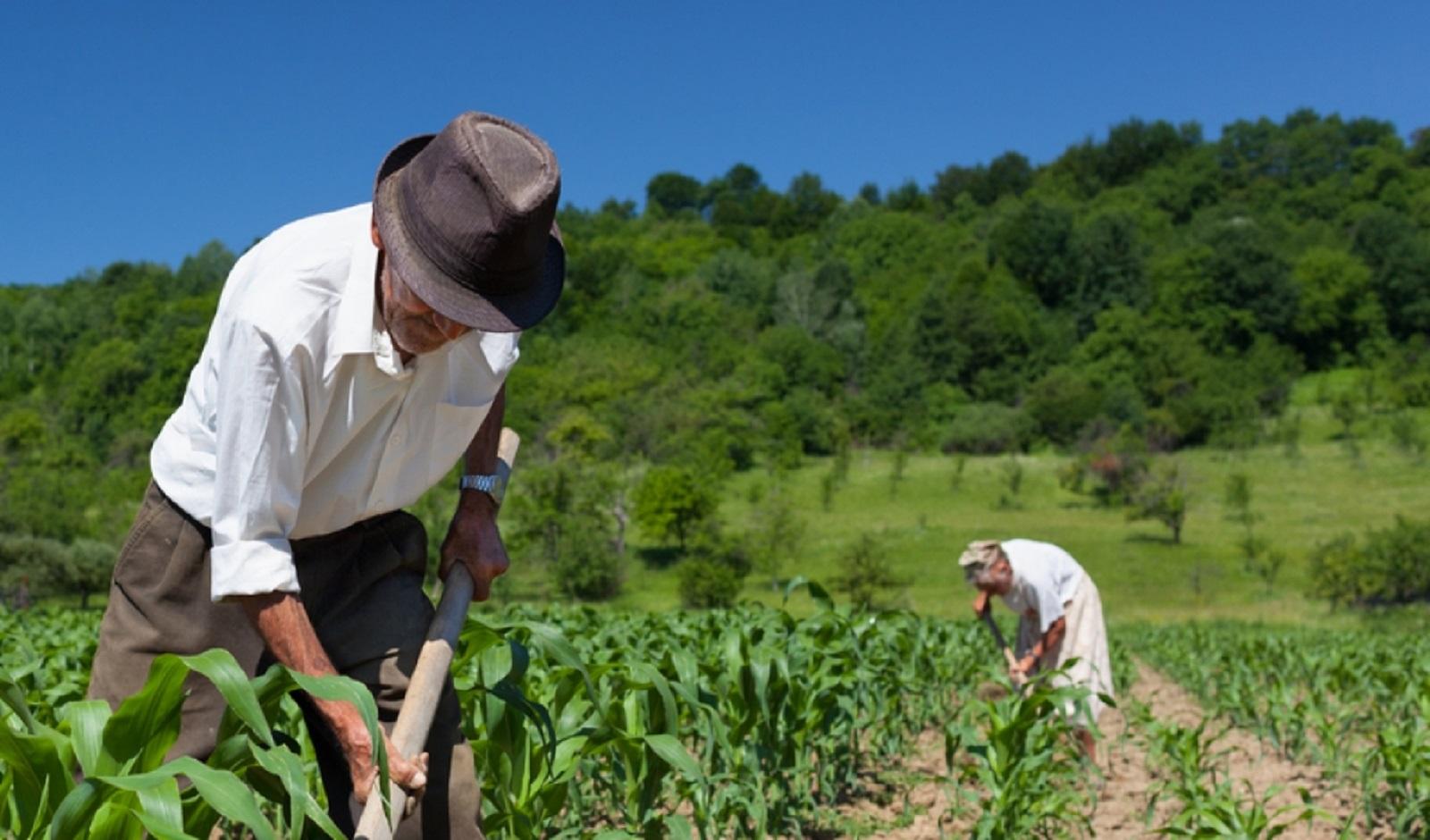 Iniciativa de Ley de Desarrollo Agrario: sembrando viento institucional |  Biodiversidad en América Latina