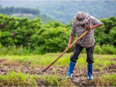 Iniciativa popular "El derecho a la alimentación, un derecho fundamental e inalienable de los pueblos"