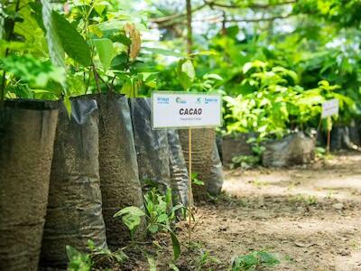 Innovaciones agroecológicas y descolonizadoras
