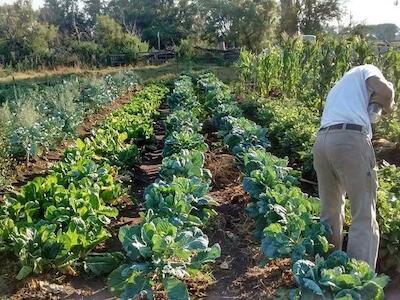 “Integramos un espacio que propicia un diálogo de saberes”