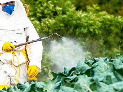 Justiça suspende 63 agrotóxicos liberados pelo Ministério da Agricultura