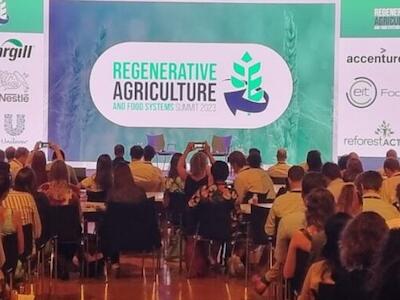 La agricultura regenerativa era una buena idea, hasta que las corporaciones se apoderaron de ella