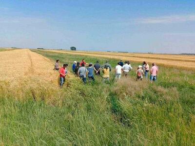 La agroecología en forma de mapa: 15.000 hectáreas productivas sin venenos