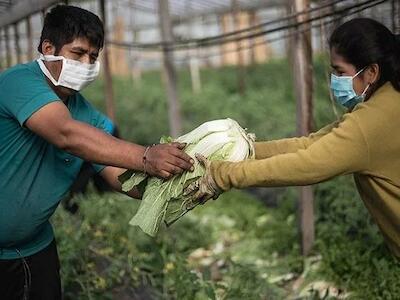 “La agroecología puede ser una herramienta de cambio estructural ante la inflación”