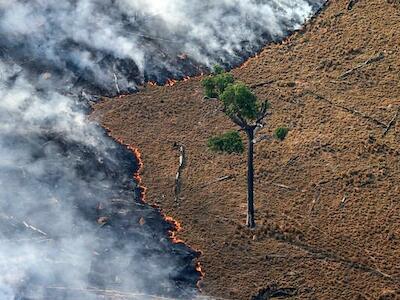 Foto: Greenpeace