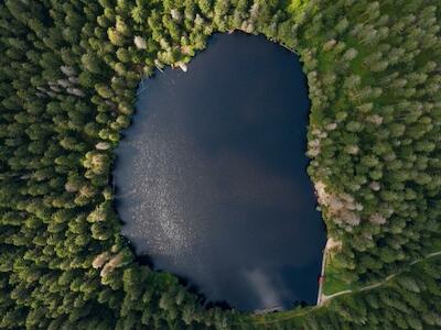 La COP15 de Biodiversidad finaliza con un acuerdo de mínimos basado en falsas soluciones