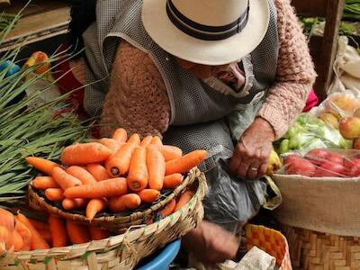 La cumbre de Sistemas Alimentarios de la ONU en Nueva York perpetúa un modelo injusto e insostenible