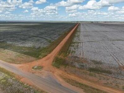 «La destrucción de los bosques no es sólo por lo que comemos, también por cómo nos vestimos»