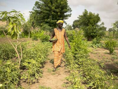 La FAO aplaude una resolución histórica de la ONU que consagra los derechos de los campesinos y los trabajadores rurales