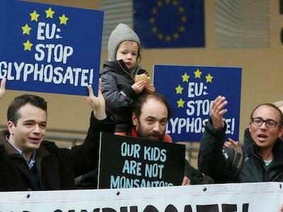 La justicia de la UE obliga a desclasificar los estudios sobre la peligrosidad del glifosato