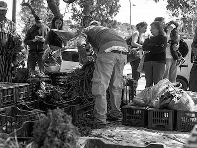 - Fotos por Colectivo Manifiesto.