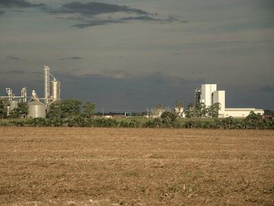 La porcícola que se come los bosques en el Meta