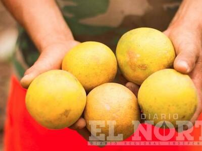 La soberanía alimentaria, una garantía a la producción local