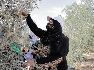 La sociedad civil pide la liberación urgente de los miembros de La Vía Campesina en Palestina