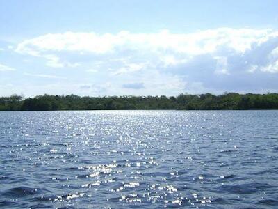 - Extensa: La laguna Concepción llega a ocupar 200 kilómetros cuadrados de extensión | cortesía  