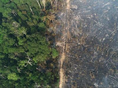 La Unión Europea da la espalda a la crisis climática en su acuerdo de libre comercio con Mercosur