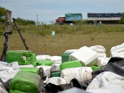 Las fumigaciones no paran, ni su efecto inmunodepresor