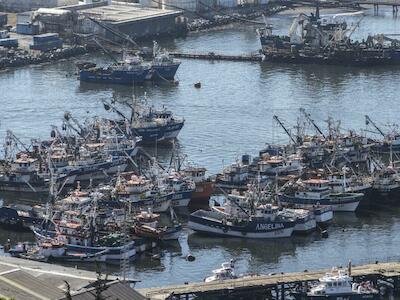  pesca de pelágicos en la región del Biobío, Chile. Foto: cortesía Mauricio Altamirano / Oceana 