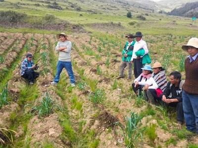 Ley de semillas nativas, por un sistema de alimentación solidario y autónomo