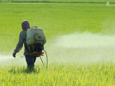 Liberação de agrotóxicos pode agravar taxas de suicídio no meio rural