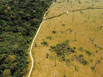 Liberación de carbono del suelo por calentamiento global