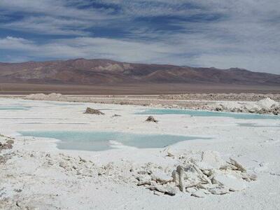 - Salar de Maricunga.