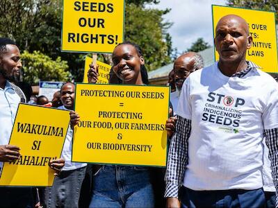 Francis Ngiri (a la derecha) junto a otros agricultores y activistas durante la vista preliminar del juicio contra la ley de semillas de Kenia, en la ciudad de Machakos, en mayo de 2025. GREENPEACE AFRICA
