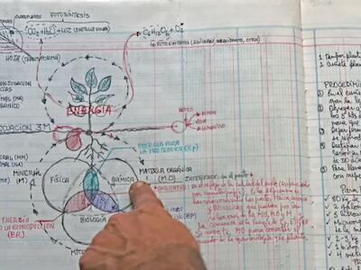 Los arquitectos invisibles del suelo