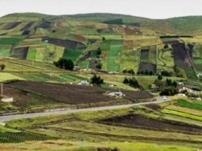 Los derechos de las campesinas y campesinos y la necesidad de garantizarlos frente al COVID-19