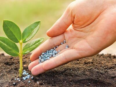 Los fertilizantes que se usan desde 1961 empobrecen los suelos