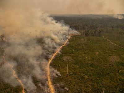 Los incendios del Amazonas, camino de alcanzar el desastre de 2019