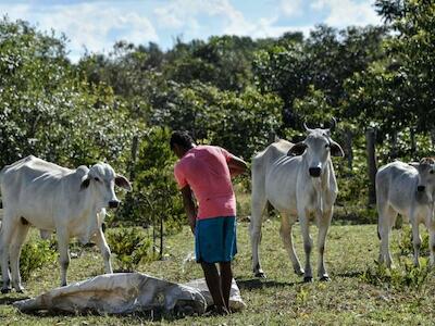 Los monocultivos devoran tierras y acorralan a las comunidades del Cerrado de Brasil