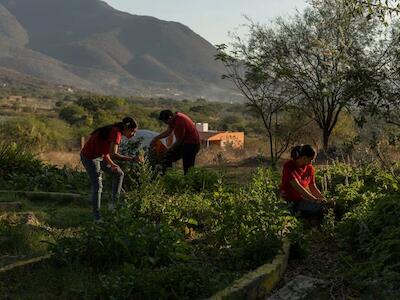 Fernanda Ramos, Samara Mardueño y José Bautista, estudiantes de la preparatoria, El Limón, trabajan en el centro del área verde de la escuela. Roberto Antillón.