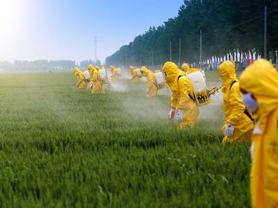 Los pesticidas están matando los suelos del mundo