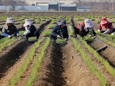 Los sindicatos campesinos, prudentemente optimistas ante las promesas agrícolas del nuevo gobierno